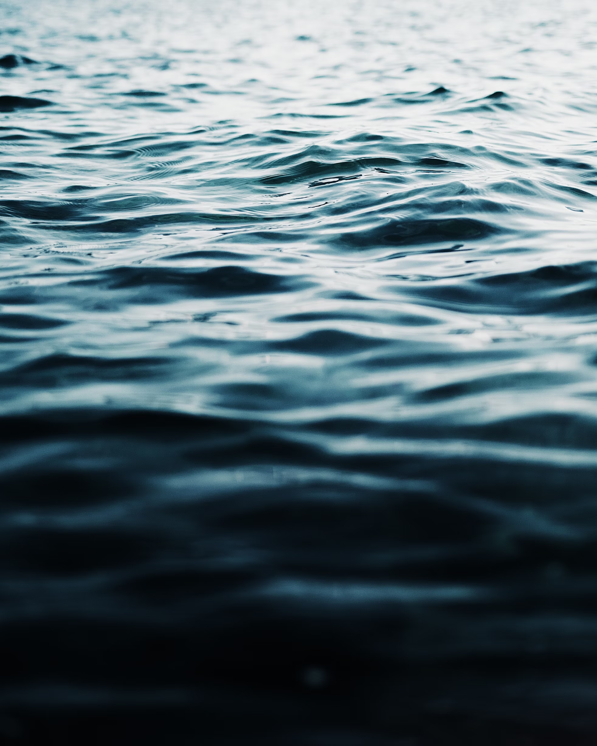 How Small Actions Create a Ripple Effect….. – VMG Review